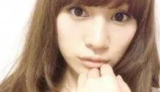 渡部怜奈と稲葉篤紀の再婚秘話と家庭の今