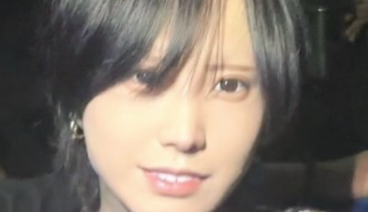はてにゃんの嫁の素顔と年齢や現在の活動まとめ