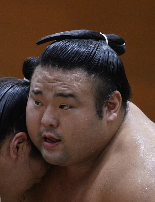貴景勝と結婚の子供の真相！妻の素顔と第2子出産予定を総整理
