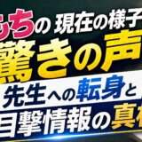 ももちの現在の様子に驚きの声!先生への転身と目撃情報の真相