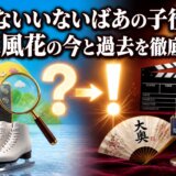 いないいないばあの子役の小芝風花の今と過去を徹底解説