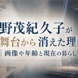 野茂紀久子が表舞台から消えた理由|画像や年齢と現在の暮らし