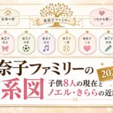 美奈子ファミリーの家系図2026最新版!子供8人の現在とノエル・きららの近況