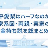 平愛梨はハーフなのか家系図・両親・実家の金持ち説を総まとめ