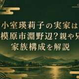 小室瑛莉子の実家は相模原市淵野辺？親や兄の家族構成を解説